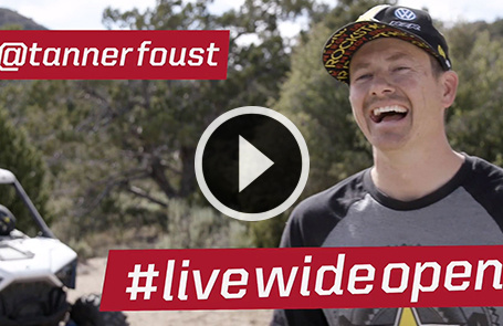 Los fundamentos de hacer una parcela de alimentos de trébol