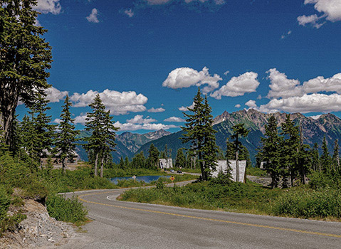 Winding mountain road surrounded by evergreen trees and rugged peaks beneath a bright blue sky.