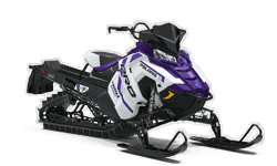 Specs 21 Polaris 600 Pro Rmk 155 Snowmobile Polaris