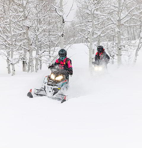 Люди на снегоходе в лесу