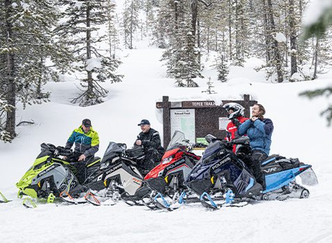 Polaris unique Rimember mono palette セット Ice Bear Ascend (PMZ50-4) 50cc Scooter - Pioneer Powersports