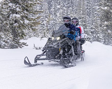 Indy/iq Canvas Snowmobile Cover - Black By Polaris