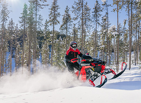 A person on a red Polaris snowmobile carves through deep snow in a pine forest, creating a spray of powder.