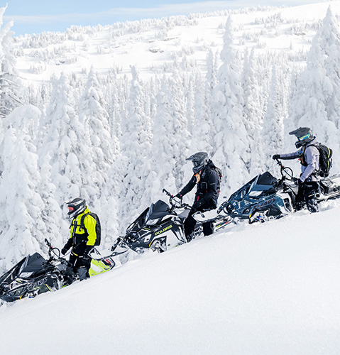 Three riders descending a steep, snowy slope on Polaris snowmobiles in a winter forest.