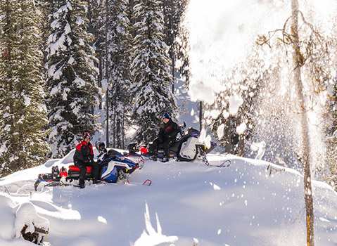 Two riders stopped with Polaris RMK snowmobiles on a deep snowy ridge surrounded by sunlit pine trees.
