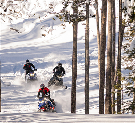 Three Polaris snowmobiles carve through deep powder on a sun-dappled forest trail, kicking up massive clouds of snow.
