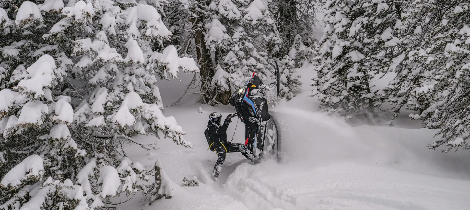 Andy Thomas maneuvering a Polaris RMK snowmobile through deep powder in a snow-covered evergreen forest.