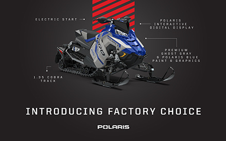 Factory Choice Customaization graphic of a Switchback Pro S model