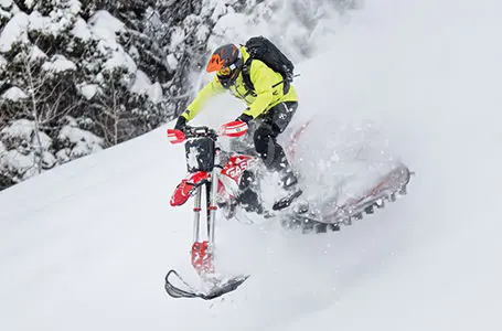 Model Archive | Timbersled