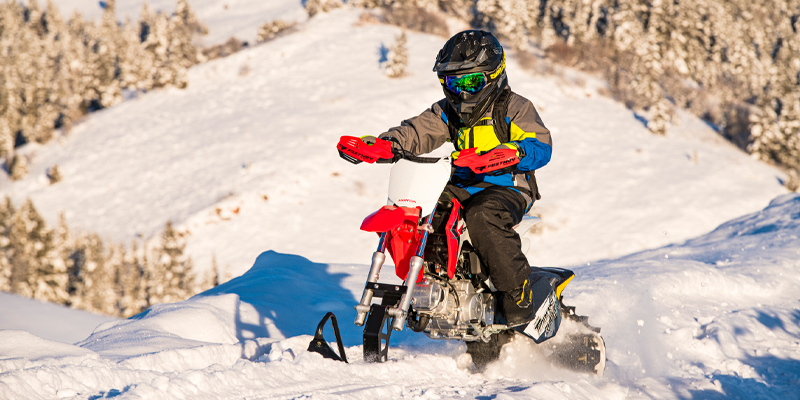 Timbersled Ripper|Polaris Timbersled