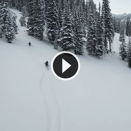 Timbersled Experience
